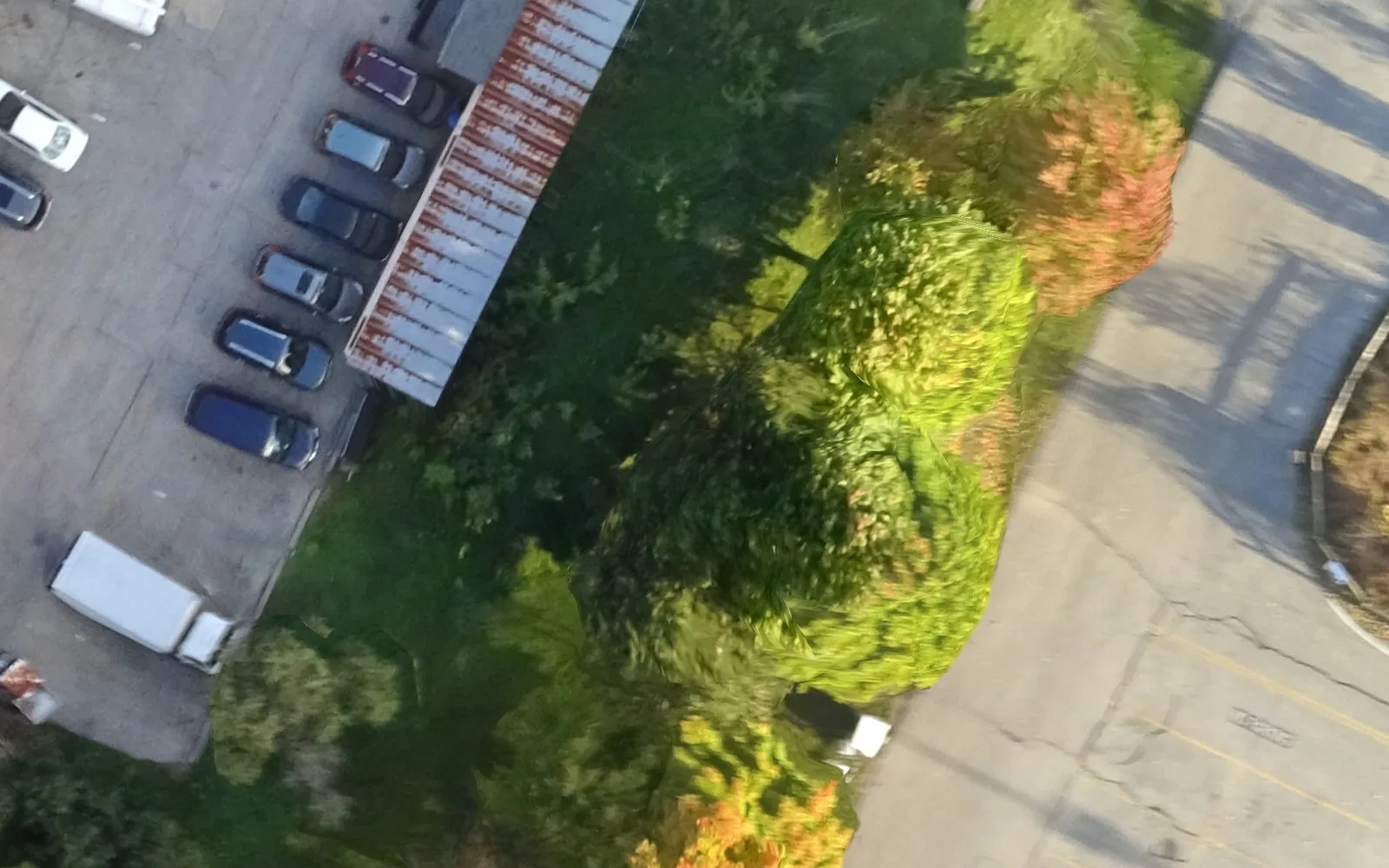 Full-resolution crop: parked cars in rows, a rusty roof and tree crowns smeared along a seam.